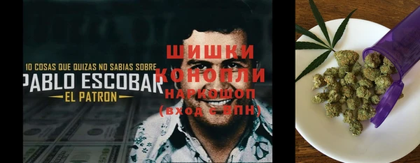 хмурый Гусь-Хрустальный