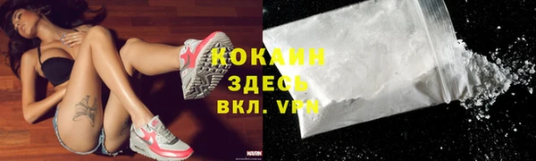 стафф Гусев