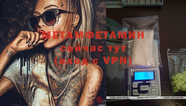 хмурый Гусь-Хрустальный
