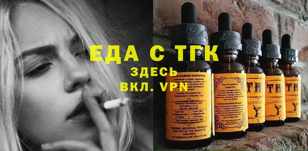 хмурый Гусь-Хрустальный