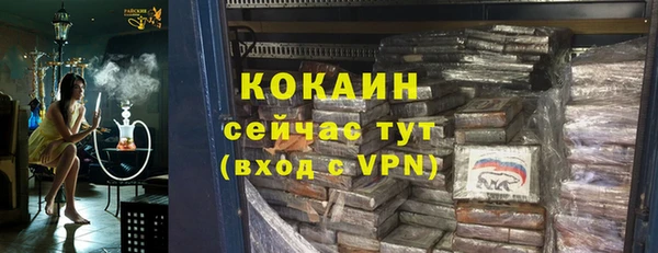 стафф Гусев
