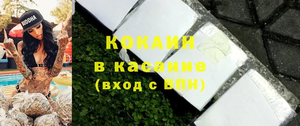 стафф Гусев
