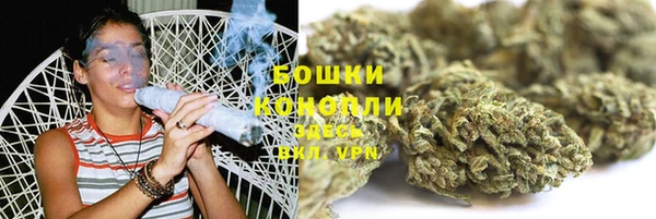 стафф Гусев