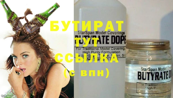 хмурый Гусь-Хрустальный