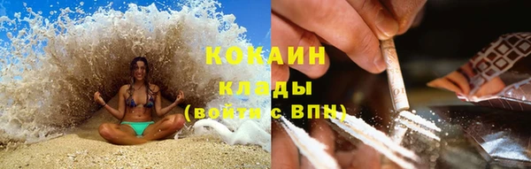хмурый Гусь-Хрустальный