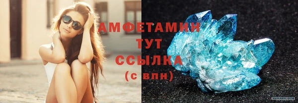 хмурый Гусь-Хрустальный