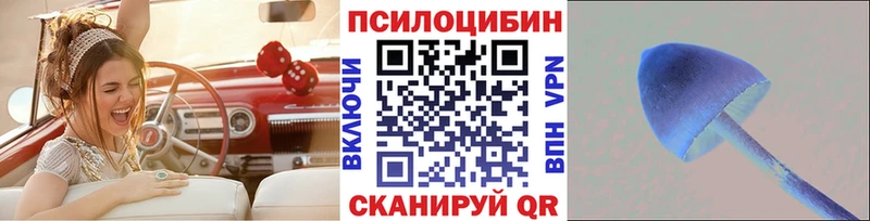 Купить где  Меленки  Галлюциногенные грибы Psilocybine cubensis 